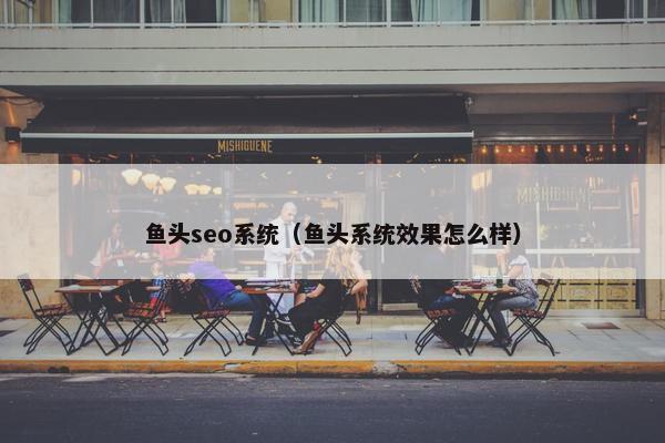 鱼头seo系统（鱼头系统效果怎么样）