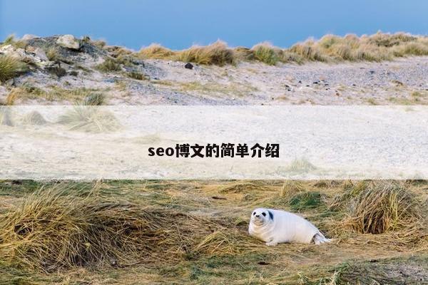 seo博文的简单介绍