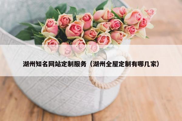 湖州知名网站定制服务（湖州全屋定制有哪几家）