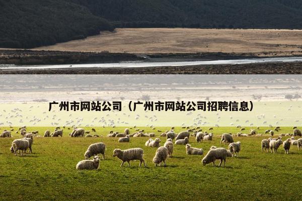 广州市网站公司（广州市网站公司招聘信息）