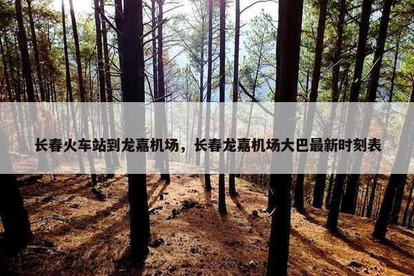 长春火车站到龙嘉机场，长春龙嘉机场大巴最新时刻表