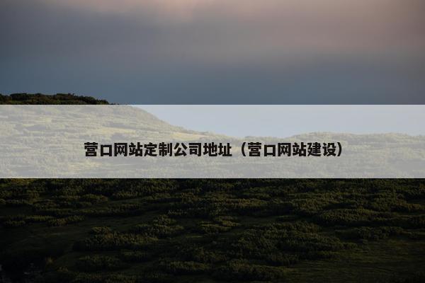 营口网站定制公司地址（营口网站建设）