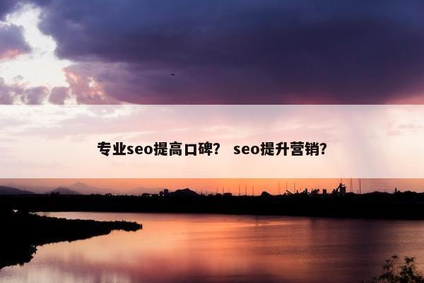 专业seo提高口碑？ seo提升营销？