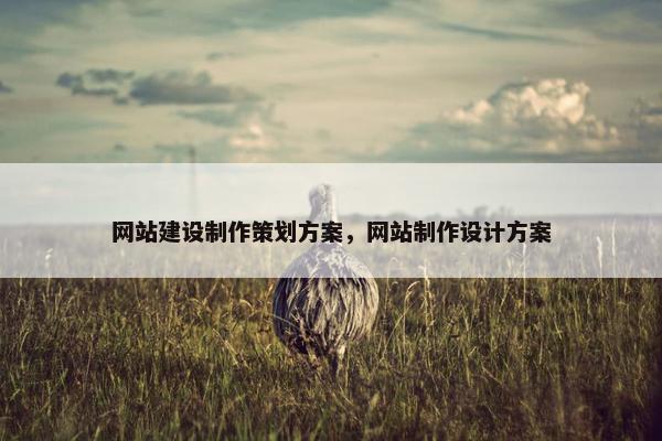 网站建设制作策划方案，网站制作设计方案