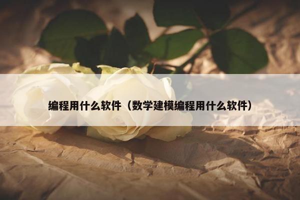 编程用什么软件（数学建模编程用什么软件）