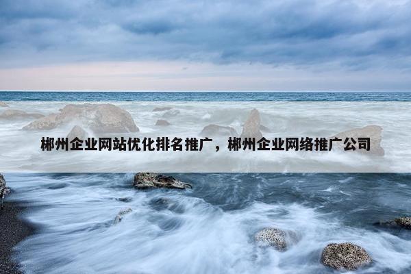 郴州企业网站优化排名推广，郴州企业网络推广公司