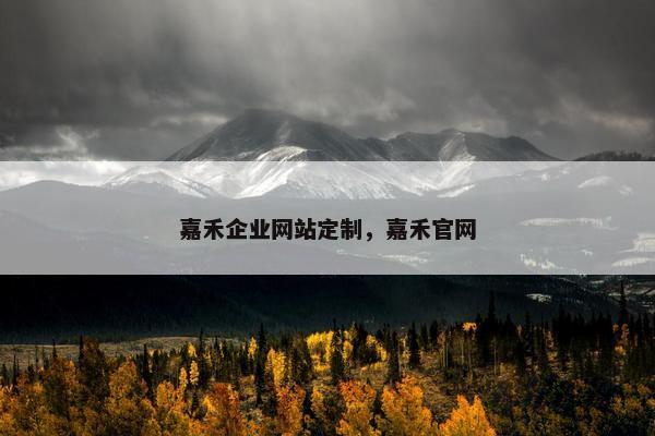 嘉禾企业网站定制，嘉禾官网