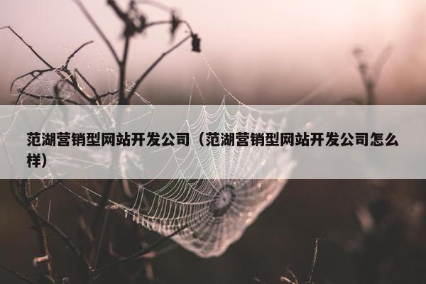 范湖营销型网站开发公司（范湖营销型网站开发公司怎么样）