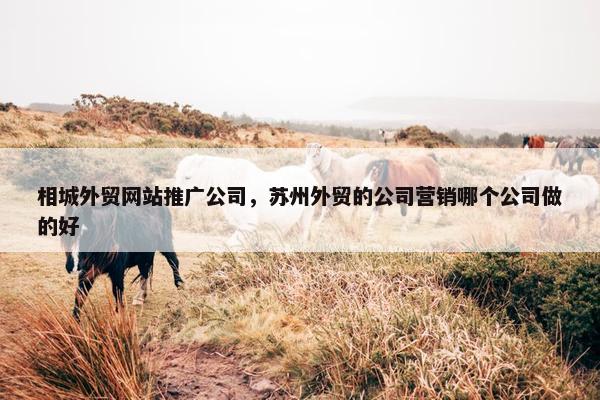 相城外贸网站推广公司，苏州外贸的公司营销哪个公司做的好