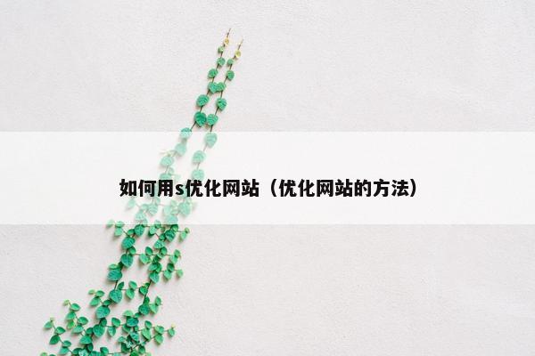 如何用s优化网站（优化网站的方法）