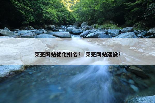 莱芜网站优化排名？ 莱芜网站建设？