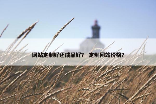 网站定制好还成品好？ 定制网站价格？