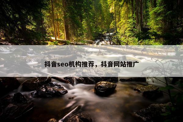 抖音seo机构推荐，抖音网站推广