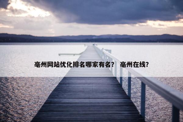 亳州网站优化排名哪家有名？ 亳州在线？