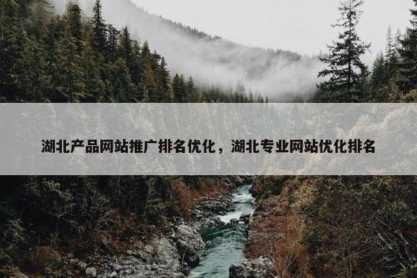 湖北产品网站推广排名优化，湖北专业网站优化排名