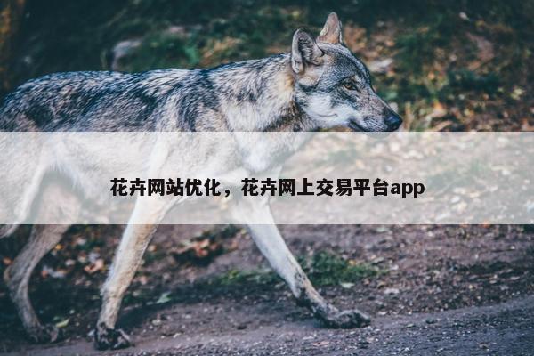 花卉网站优化，花卉网上交易平台app