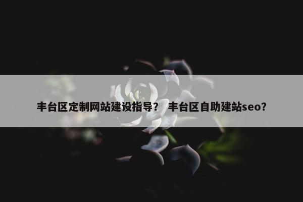 丰台区定制网站建设指导？ 丰台区自助建站seo？