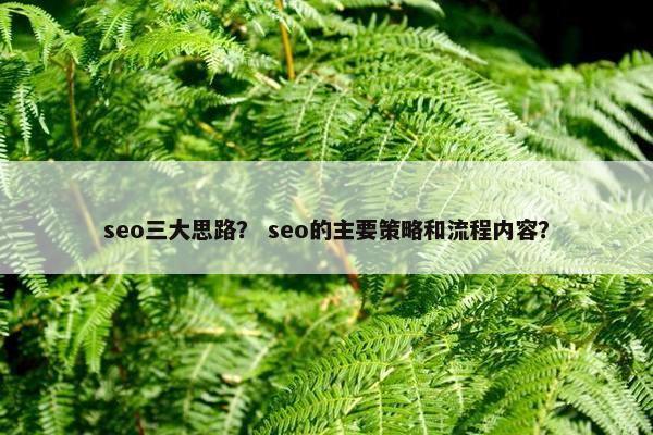 seo三大思路？ seo的主要策略和流程内容？