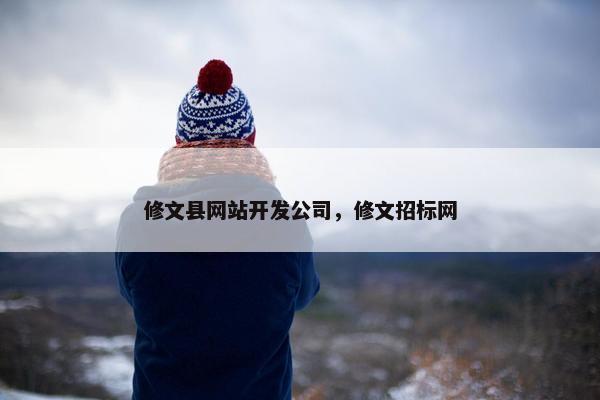 修文县网站开发公司，修文招标网