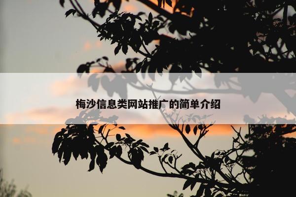 梅沙信息类网站推广的简单介绍