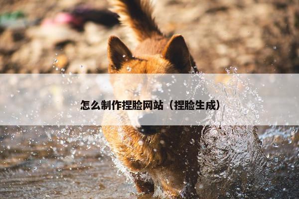 怎么制作捏脸网站（捏脸生成）