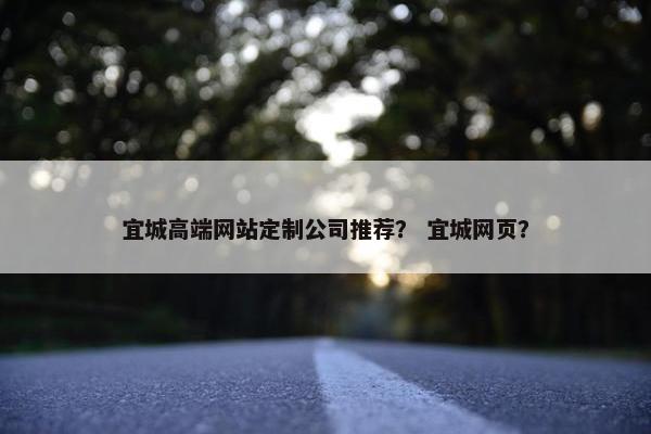 宜城高端网站定制公司推荐？ 宜城网页？