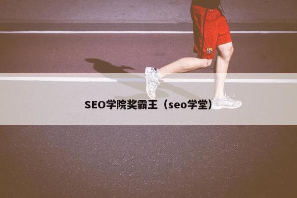 SEO学院奖霸王（seo学堂）