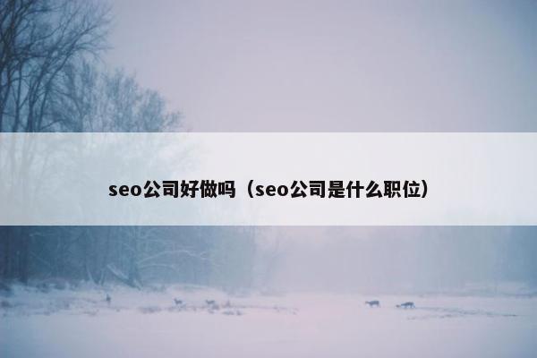 seo公司好做吗（seo公司是什么职位）