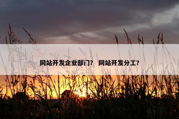 网站开发企业部门？ 网站开发分工？