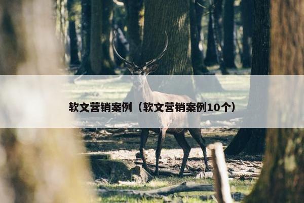 软文营销案例（软文营销案例10个）
