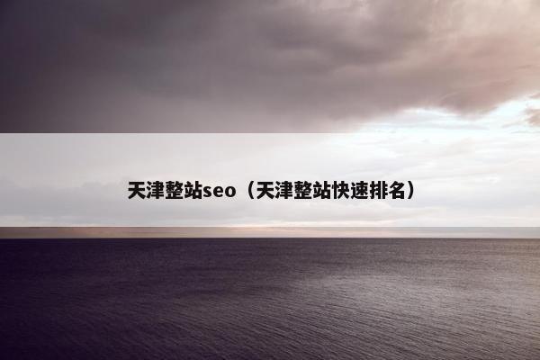 天津整站seo（天津整站快速排名）