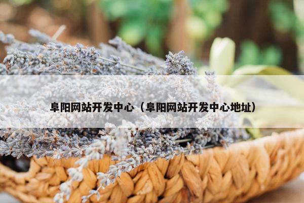 阜阳网站开发中心（阜阳网站开发中心地址）