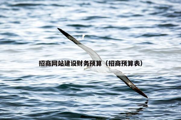 招商网站建设财务预算（招商预算表）