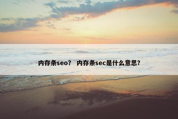 内存条seo？ 内存条sec是什么意思？