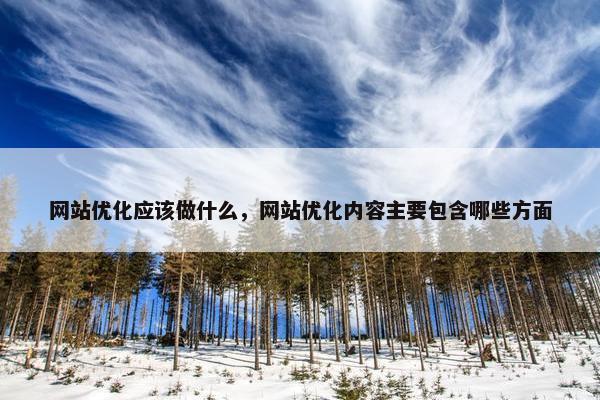 网站优化应该做什么，网站优化内容主要包含哪些方面