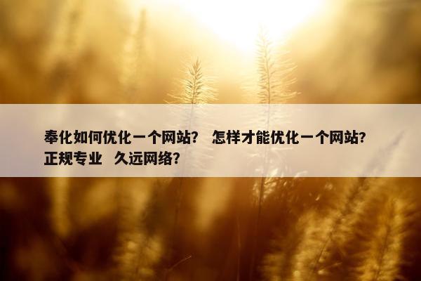 奉化如何优化一个网站？ 怎样才能优化一个网站?  正规专业  久远网络？