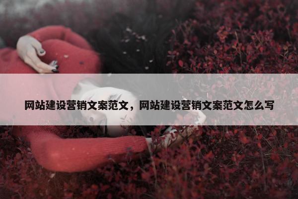 网站建设营销文案范文，网站建设营销文案范文怎么写