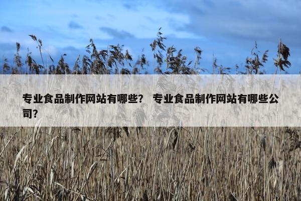 专业食品制作网站有哪些？ 专业食品制作网站有哪些公司？
