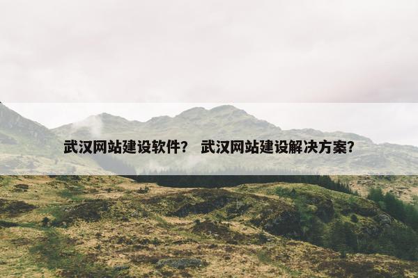 武汉网站建设软件？ 武汉网站建设解决方案？