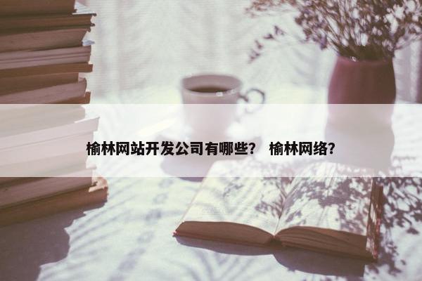 榆林网站开发公司有哪些？ 榆林网络？