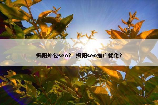 揭阳外包seo？ 揭阳seo推广优化？