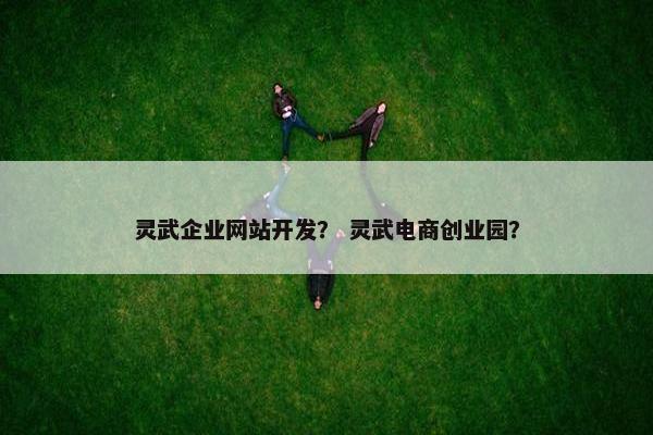 灵武企业网站开发？ 灵武电商创业园？