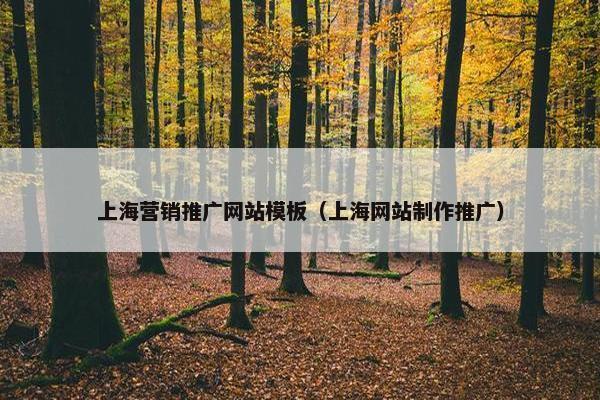 上海营销推广网站模板（上海网站制作推广）