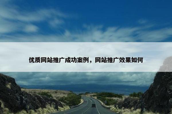 优质网站推广成功案例，网站推广效果如何