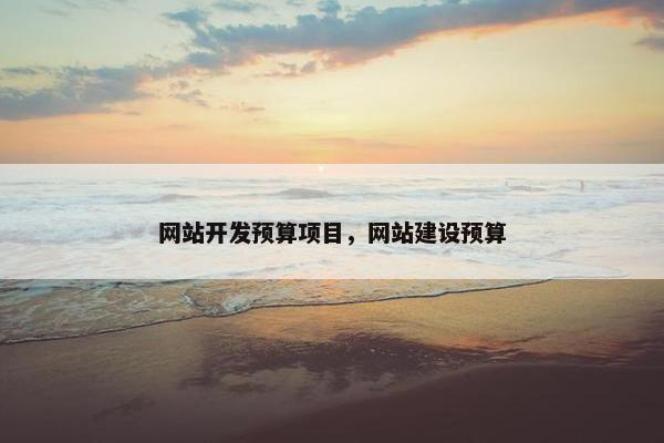 网站开发预算项目，网站建设预算