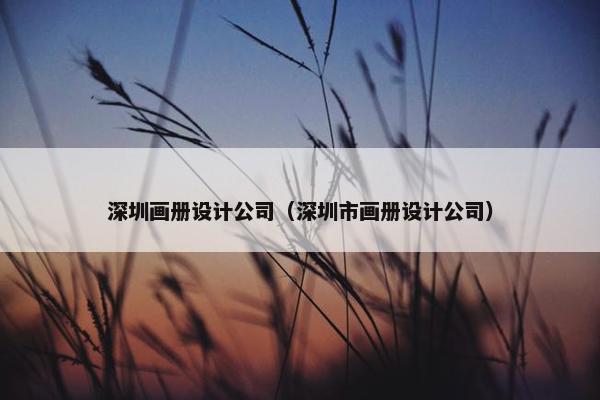 深圳画册设计公司（深圳市画册设计公司）