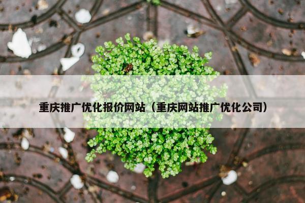 重庆推广优化报价网站（重庆网站推广优化公司）