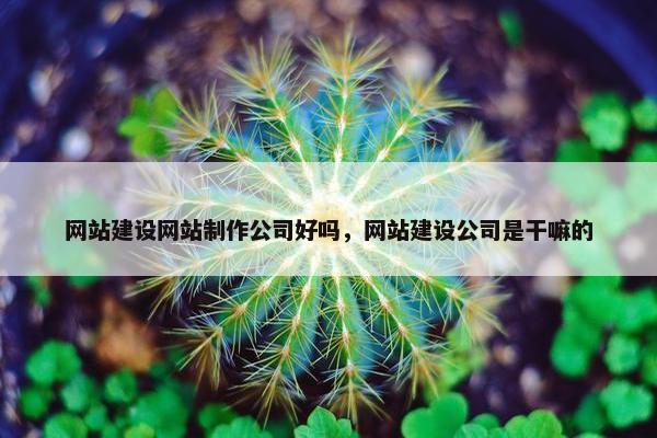 网站建设网站制作公司好吗，网站建设公司是干嘛的