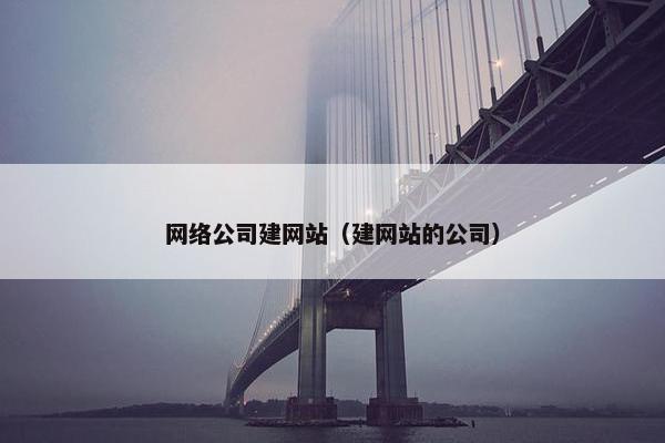 网络公司建网站（建网站的公司）