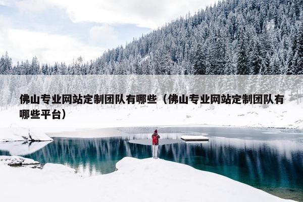 佛山专业网站定制团队有哪些（佛山专业网站定制团队有哪些平台）